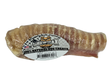 6" Trachea