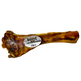 Tibia Bone
